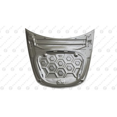 Капот Tesla Model 3 111-TSM3-90E0B-00