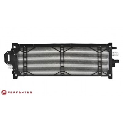 Радіатор охолодження основний (з панеллю) Tesla Model 3
 511-TSM3-8200C-01