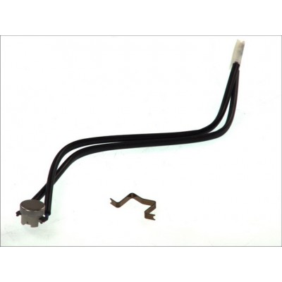 Датчик полум'я автономки Eberspacher D1LC/D3LC 251895993500