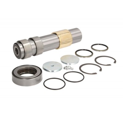 Ремкомплект шкворня Renault Premium Magnum 080.538 5010216742