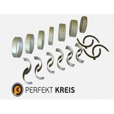 Вкладиші Renault Magnum 390/480 стд 5001834965