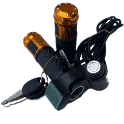 Ручка газу для електротранспорту з замком запалювання та вольтметром комплект GASH-00007998