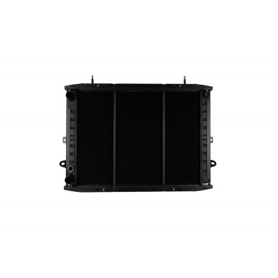 Радіатор RENAULT MIDLUM 5000398274