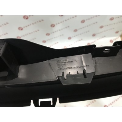 Решітка переднього бампера Tesla Model 3
 131-TSM3-2700C-00
