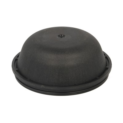 Ковпак маточини Renault Magnum 124mm, h-52mm 5010571187