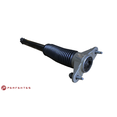 Амортизатор задній Tesla Model Y 1188463-00-C